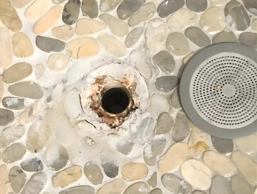 Bathroom shower drain showing signs of a clog