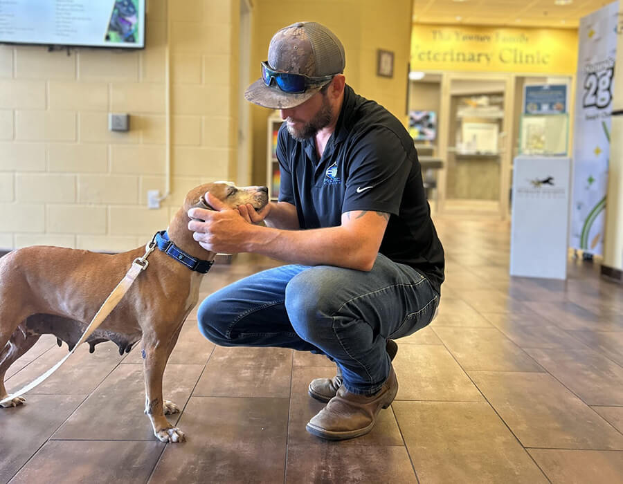 Pro-Tec Plumbing & Air supports rescue dogs through local adoption initiatives
