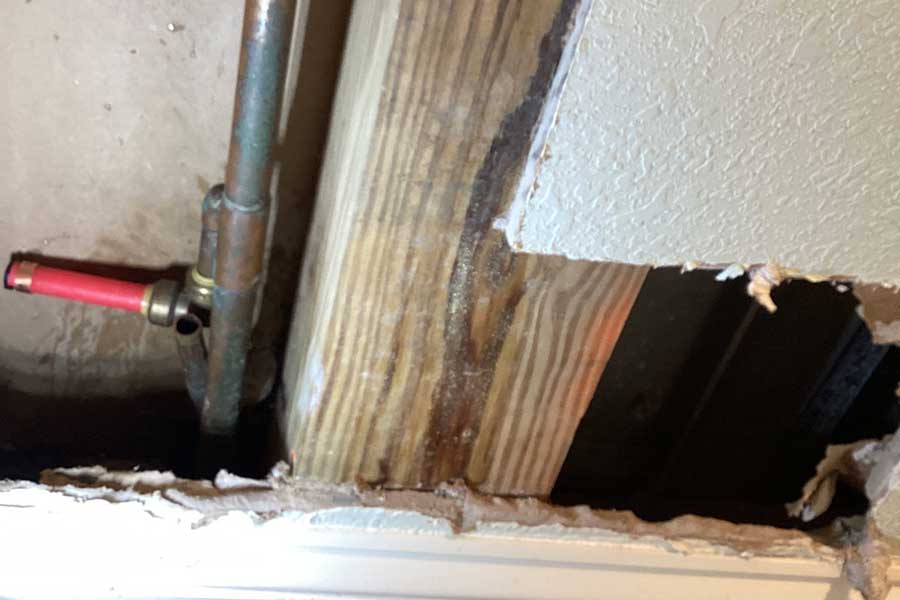 The Value of Professional Water Leak Detection & Repair