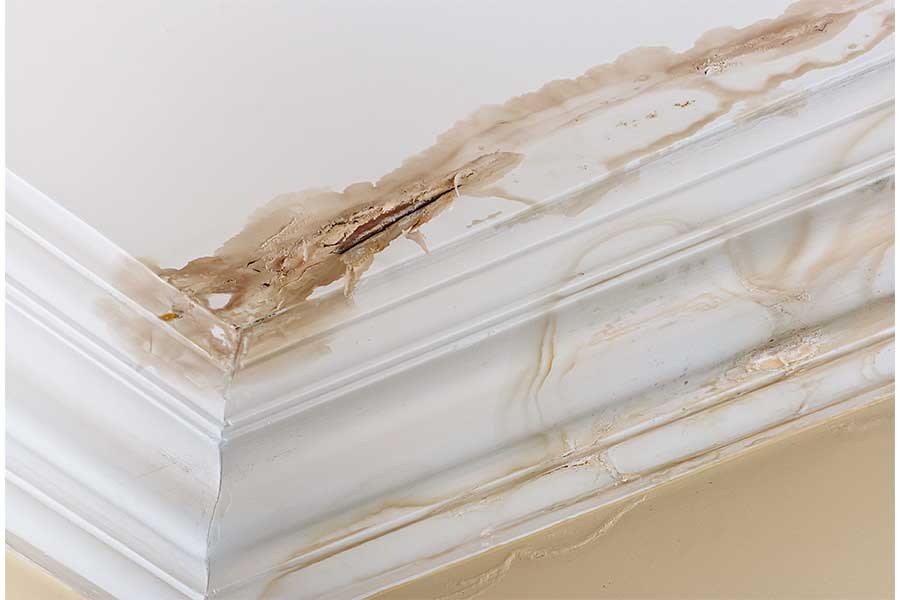 Water damage on ceiling corner found during plumbing inspection in Naples FL