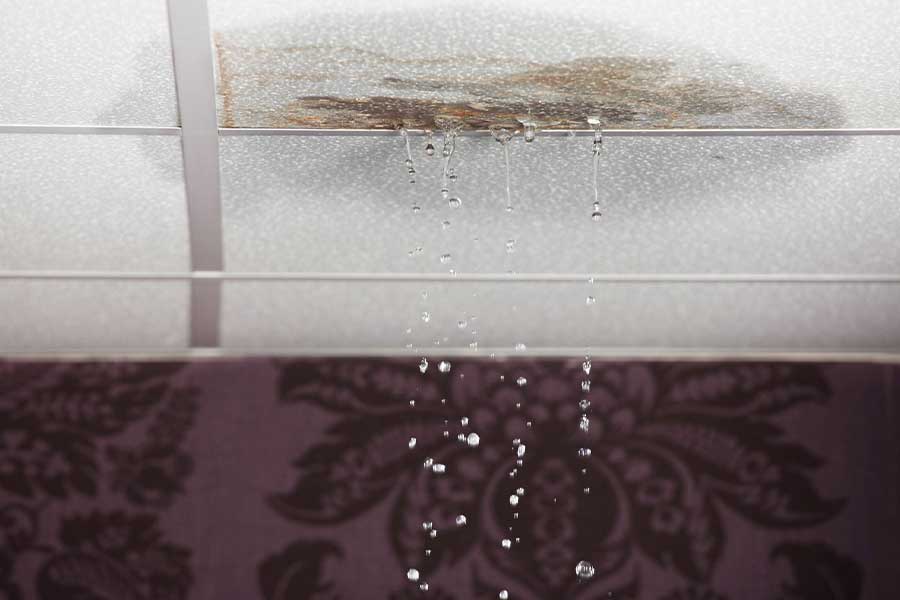 Ceiling leak identified during plumbing inspection in Naples FL
